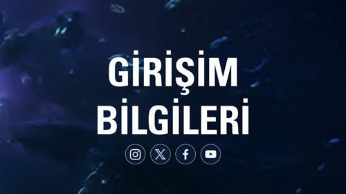 Girisim